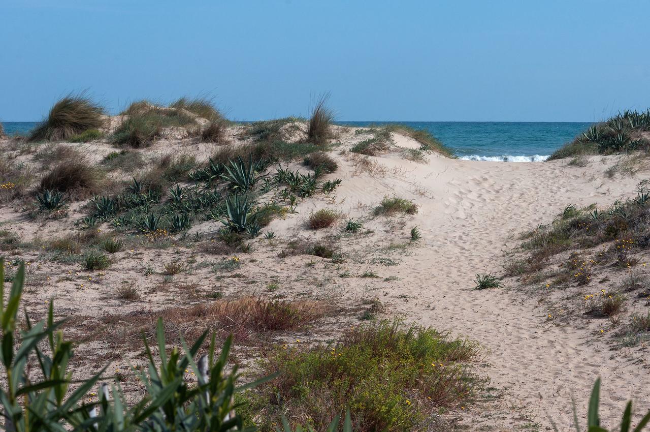 Playa de MiramarPandora 1别墅 外观 照片